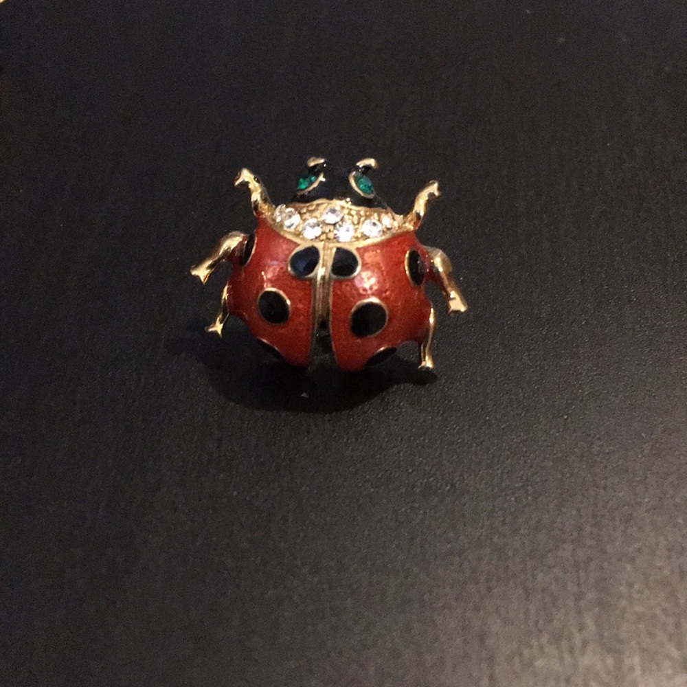 Ladybug Brooch